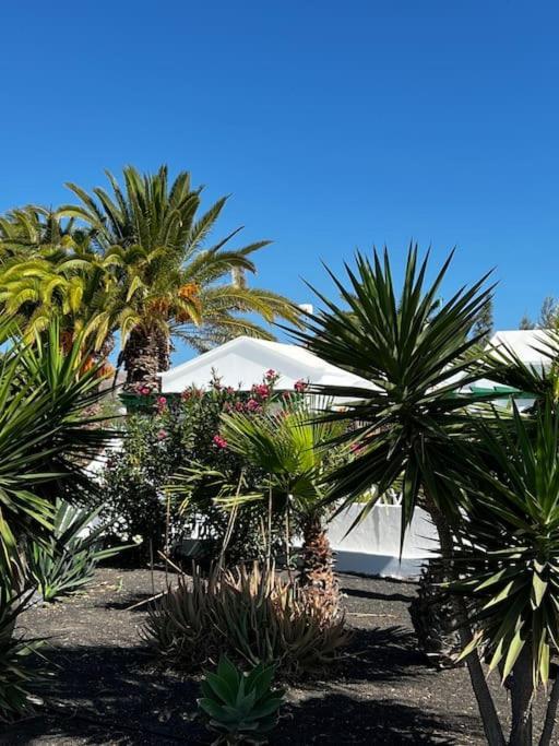 Lovely Casita Jade Playa Blanca  Extérieur photo