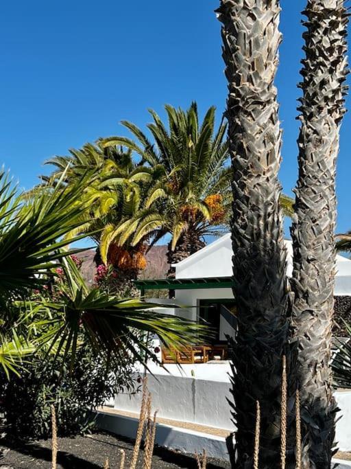 Lovely Casita Jade Playa Blanca  Extérieur photo